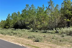15702 Ridge Rock Rd, Willis, TX 77378 - Photo 6