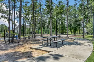 328 Rise Ln, Montgomery, TX 77316 - Photo 46