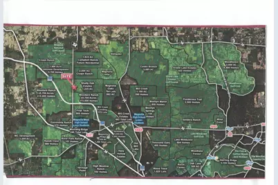 00 Tbd Fm 1486, Montgomery, TX 77316 - Photo 6