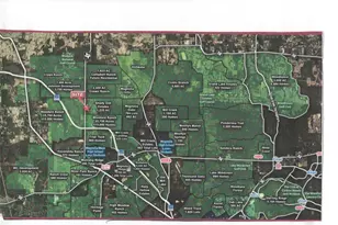 00 Tbd Fm 1486, Montgomery, TX 77316 - Photo 6