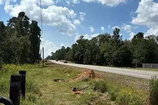 00 Tbd Fm 1486, Montgomery, TX 77316 - Photo 2