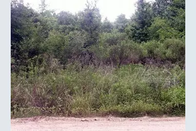 0 County Road 2926, Cleveland, TX 77327 - Photo 1