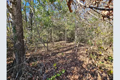 Tbd Cr-2107, Liberty, TX 77575 - Photo 16