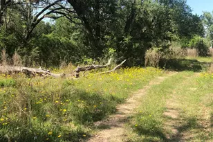 10324 FM 530, Hallettsville, TX 77964 - Photo 2