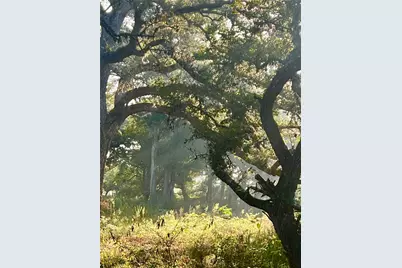 10324 Fm 530, Hallettsville, TX 77964 - Photo 10