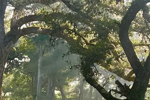 10324 FM 530, Hallettsville, TX 77964 - Photo 10