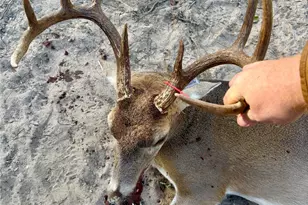 10324 FM 530, Hallettsville, TX 77964 - Photo 26