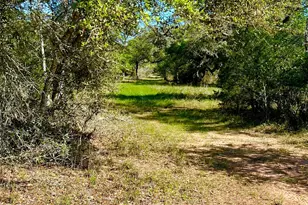 10324 FM 530, Hallettsville, TX 77964 - Photo 8