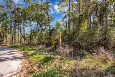 Lot 139 Ravenwood Drive, Porter, TX 77365 - Photo 1