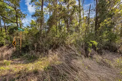 Lot 139 Ravenwood Drive, Porter, TX 77365 - Photo 8