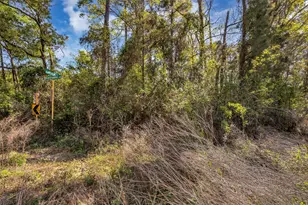 Lot 139 Ravenwood Dr, Porter, TX 77365 - Photo 8