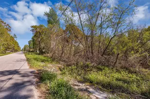 Lot 139 Ravenwood Dr, Porter, TX 77365 - Photo 6