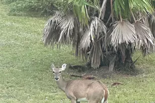 540 Bayou Ave, Anahuac, TX 77514 - Photo 14