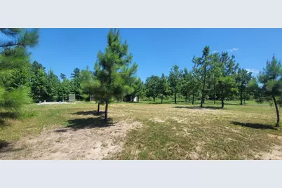 315 Polk, Lovelady, TX 75851 - Photo 6