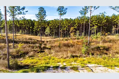 Lot 2 Black Buck Drive, Moscow, TX 75960 - Photo 4