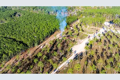 Lot 2 Black Buck Drive, Moscow, TX 75960 - Photo 2