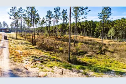 Lot 2 Black Buck Drive, Moscow, TX 75960 - Photo 1