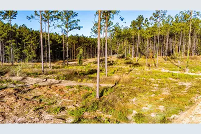 Lot 2 Black Buck Drive, Moscow, TX 75960 - Photo 6