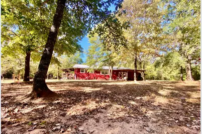 260 An County Road 1261, Elkhart, TX 75839 - Photo 4