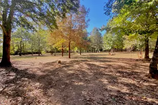 260 An County Rd 1261, Elkhart, TX 75839 - Photo 24