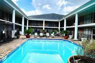 2507 Montrose Blvd, Houston, TX 77006 - Photo 12