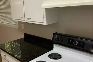 1412 Hawthorne St, Houston, TX 77006 - Photo 6