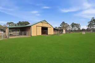 25404 Decker Prairie-Rosehill Rd, Magnolia, TX 77355 - Photo 12