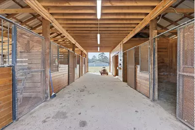 25404 Decker Prairie Rosehill Road, Magnolia, TX 77355 - Photo 20