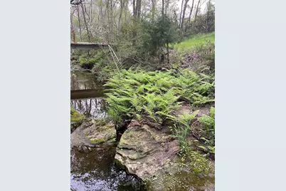 1532 County Road 250, Weimar, TX 78962 - Photo 6