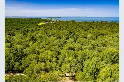 Tbd Lazy Oak Drive Drive, Livingston, TX 77351 - Photo 14