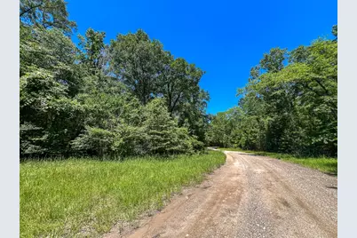 T-6 Punk Road, Corrigan, TX 75939 - Photo 2