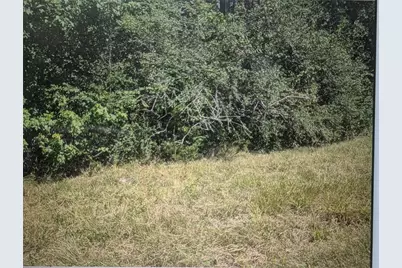 0 Phillip Cooper Road, Corrigan, TX 75939 - Photo 1