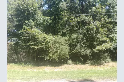 00 Magnolia Lane, Onalaska, TX 77360 - Photo 4