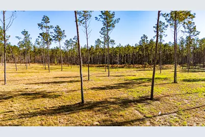 0019 Big Buck Drive, Moscow, TX 75960 - Photo 1