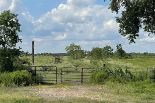 5328 Fm 3013 Rd, Sealy, TX 77474 - Photo 1