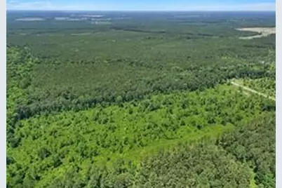 0 Tbd County Road 2235, Cleveland, TX 77327 - Photo 12