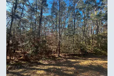 61 Sunny Hill Drive, Coldspring, TX 77331 - Photo 4