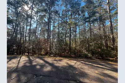 61 Sunny Hill Drive, Coldspring, TX 77331 - Photo 2
