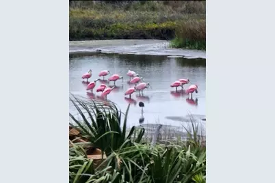 3611 Indian Beach Drive, Galveston, TX 77554 - Photo 4