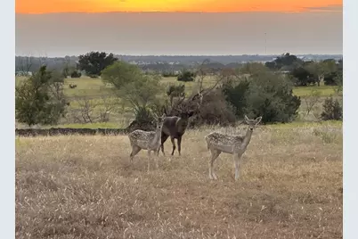 7800 County Road 210, Bertram, TX 78605 - Photo 26