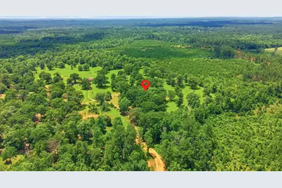 280 McGehee Road, Willis, TX 77378 - Photo 46
