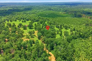 280 McGehee Rd, Willis, TX 77378 - Photo 46