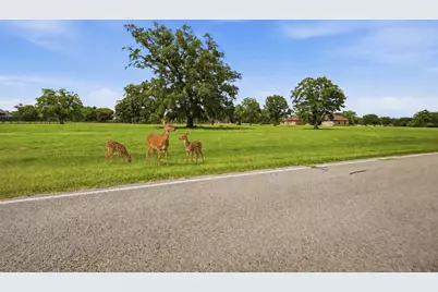 1011 W Fm 1462, Rosharon, TX 77583 - Photo 1