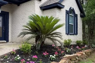 3818 Treasure Island Dr, Montgomery, TX 77356 - Photo 2