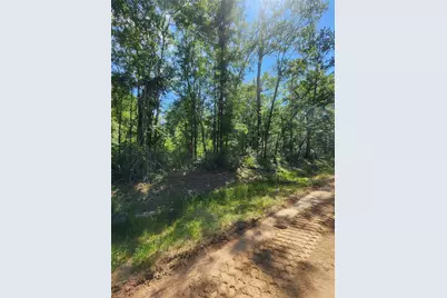 02 Cindy Lane, Shepherd, TX 77371 - Photo 2