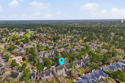 51 Wineberry Place, The Woodlands, TX 77382 - Photo 42