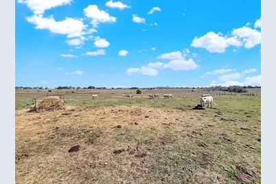 6446 Mensik Road, Schulenburg, TX 78956 - Photo 16