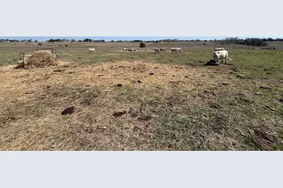 6446 Mensik Road, Schulenburg, TX 78956 - Photo 12