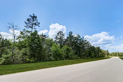 10774 Ruger Road, Willis, TX 77378 - Photo 4