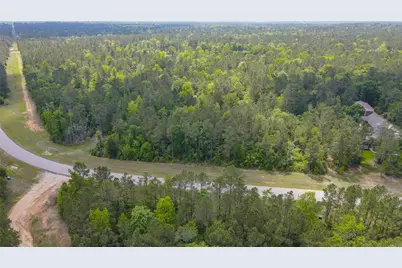 10774 Ruger Road, Willis, TX 77378 - Photo 12